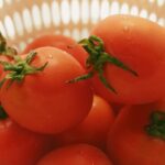 tips memasak tomat