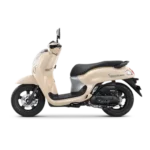 Scoopy 2025